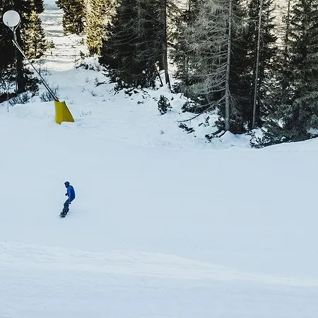Excelsior Cimone Lowcost Hotel San Martino Di Castrozza